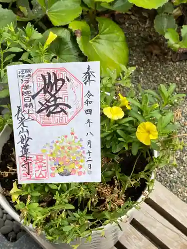 妙蓮寺の御朱印