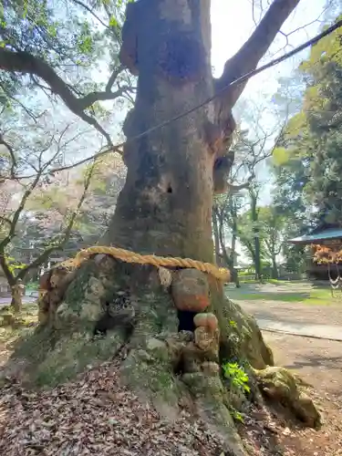 中村八幡宮(栃木県)