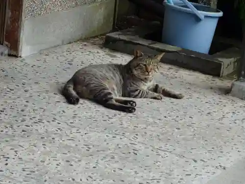 叶神社（東叶神社）の動物