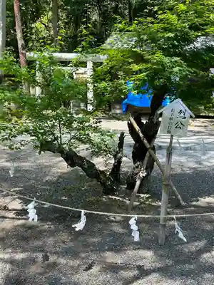 村松大神宮(茨城県)