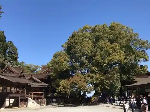 金刀比羅宮のその他建物