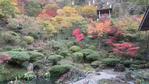 普済寺の庭園