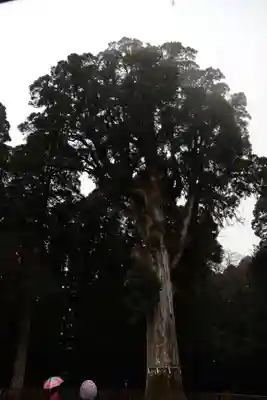 霧島神宮(鹿児島県)