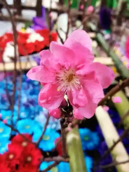 下谷神社(東京都)
