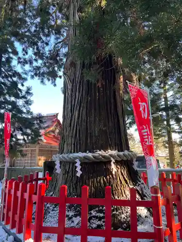志和古稲荷神社(岩手県)