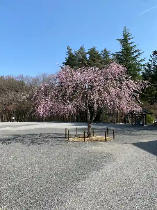 身曾岐神社(山梨県)