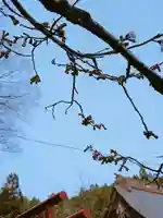 白狐山光星寺(山形県)