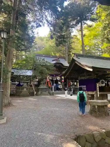 矢彦神社(長野県)