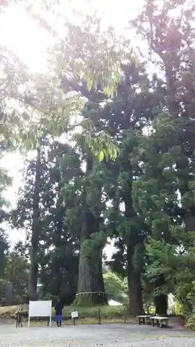 村山浅間神社の自然