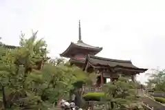 清水寺の塔