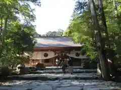 椿大神社の本殿
