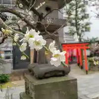 平河天満宮の自然