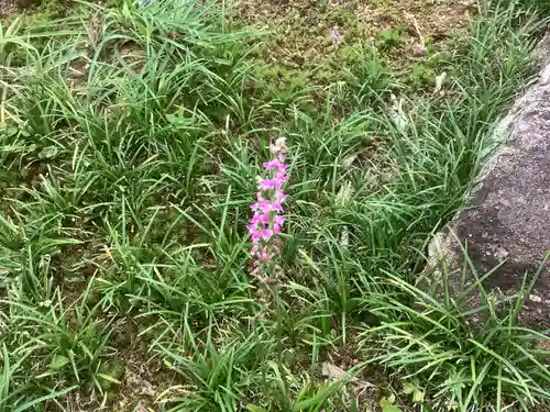 龍洞院の庭園