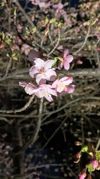 東寺(教王護国寺)(京都府)