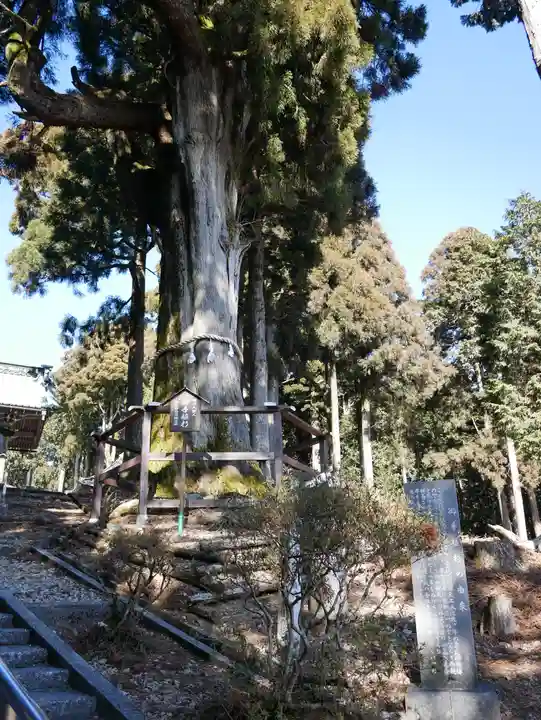 身延山奥之院思親閣のその他建物