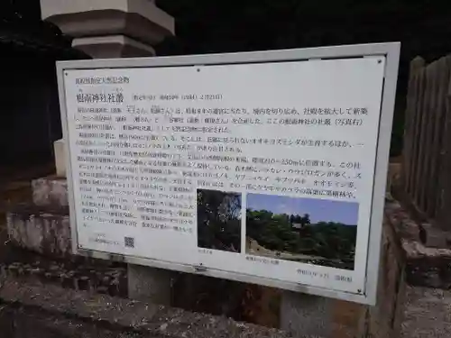 根雨神社の歴史