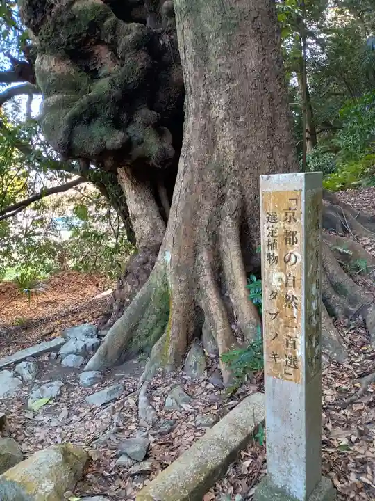 高良神社(京都府)