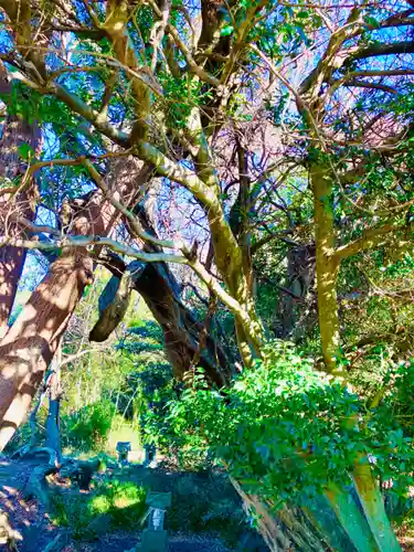 冨士浅間神社(茨城県)