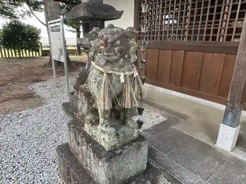 曽祢神社の狛犬