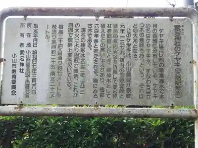 愛宕神社の歴史