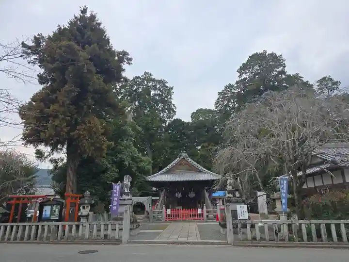 稗田野神社(薭田野神社)(京都府)