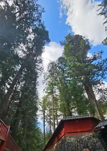 日光東照宮(栃木県)