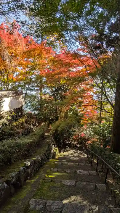 善峯寺(京都府)