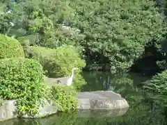 屋久島大社の動物