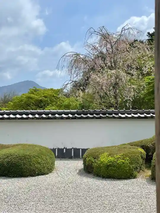 正伝護国禅寺(正伝寺・正傳寺)の庭園