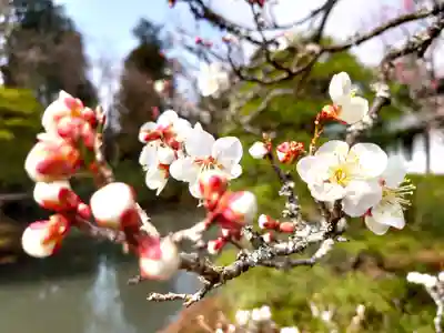 輪王寺(栃木県)