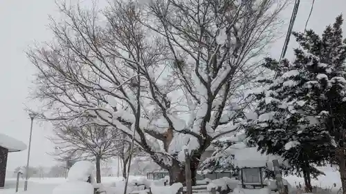 御田神社の自然