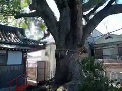 阿保神社(大阪府)