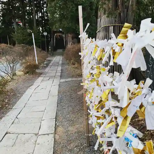 豊景神社のおみくじ