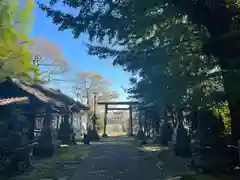 藏皇神社の鳥居