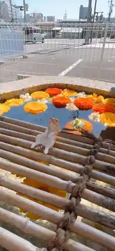 阿邪訶根神社の手水