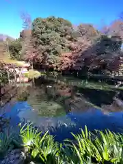 富士山本宮浅間大社(静岡県)