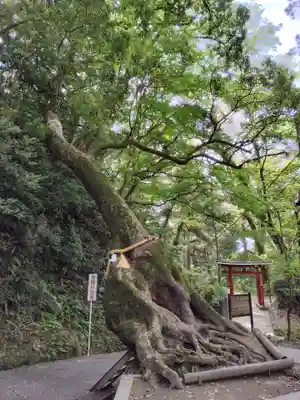笠森寺(千葉県)