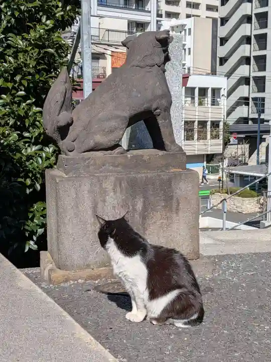 白金氷川神社(東京都)