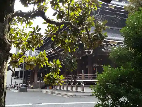 東本願寺（真宗本廟）の本殿