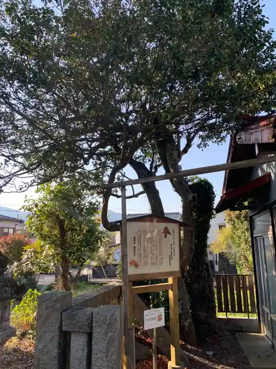 高尾山穂見神社の自然