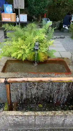 出雲大神宮の手水舎