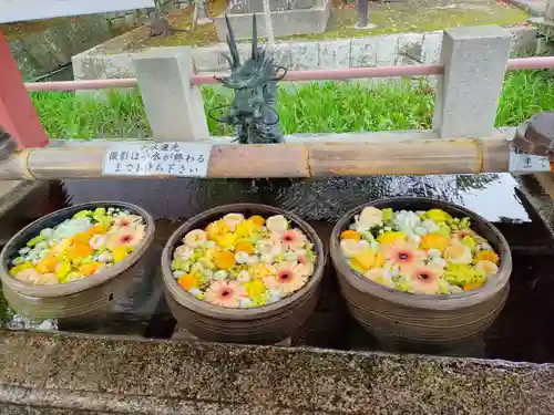 津島神社の手水舎
