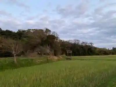 川田神社の鳥居