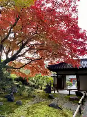 榮攝院（栄摂院）の庭園