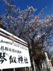 新琴似神社の建物その他