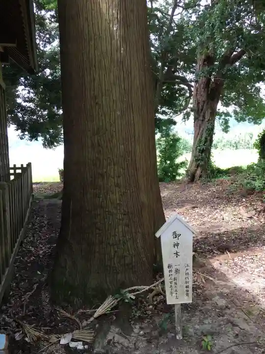 莫越山神社のその他建物