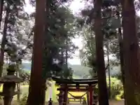 大宮温泉神社の鳥居