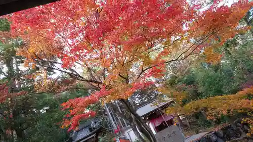 柳谷観音　楊谷寺の庭園