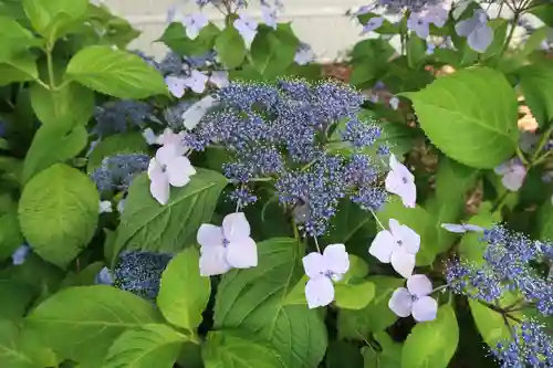 性海寺(愛知県)