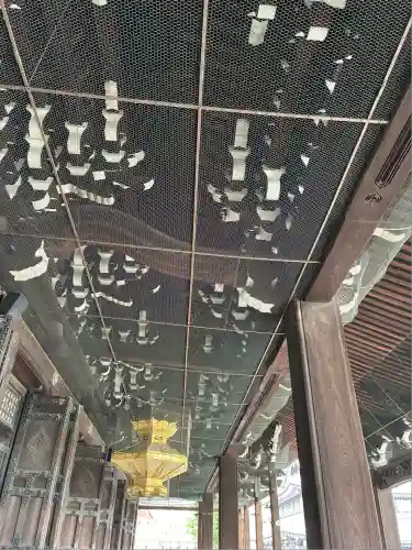 本願寺（西本願寺）(京都府)